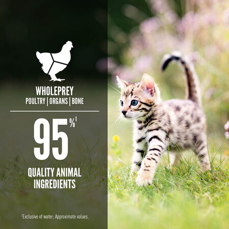 null - Product image 2.0